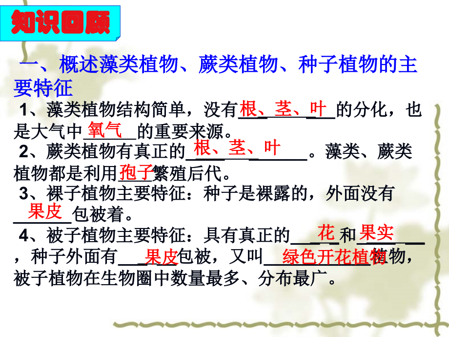 专题植物的主要类群、三大生理作用.ppt_第2页
