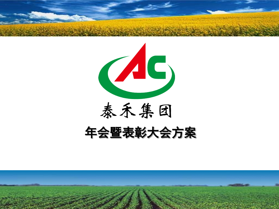 上海年会策划公司、庆典礼仪策划、礼仪策划、年会酒会策划、年会策划执行嘉禾集团年会暨表彰大会方案ppt课.ppt_第1页