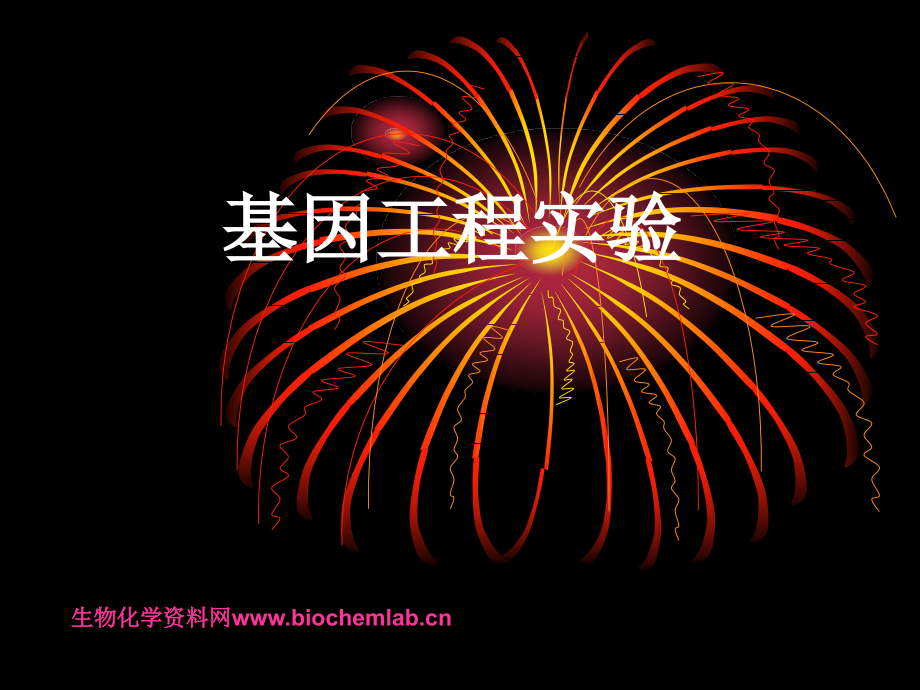 基因工程实验biochemlab.ppt_第1页