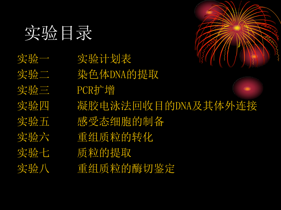 基因工程实验biochemlab.ppt_第2页