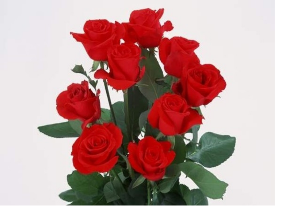 二年级语文小鹿的玫瑰花市公开课一等奖市赛课金奖课件.pptx_第2页