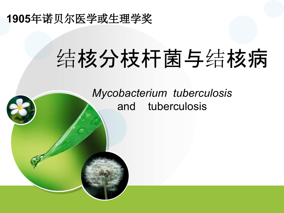 结核分枝杆菌与结核病.ppt_第1页