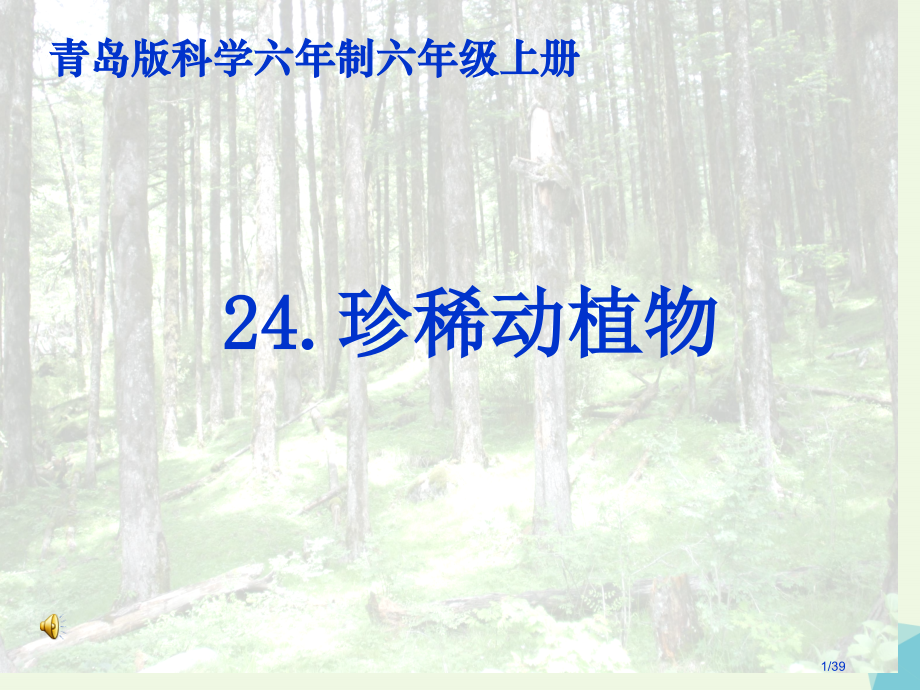 六年级科学上册珍稀动植物笔记省公开课一等奖新名师优质课获奖PPT课件.pptx_第1页