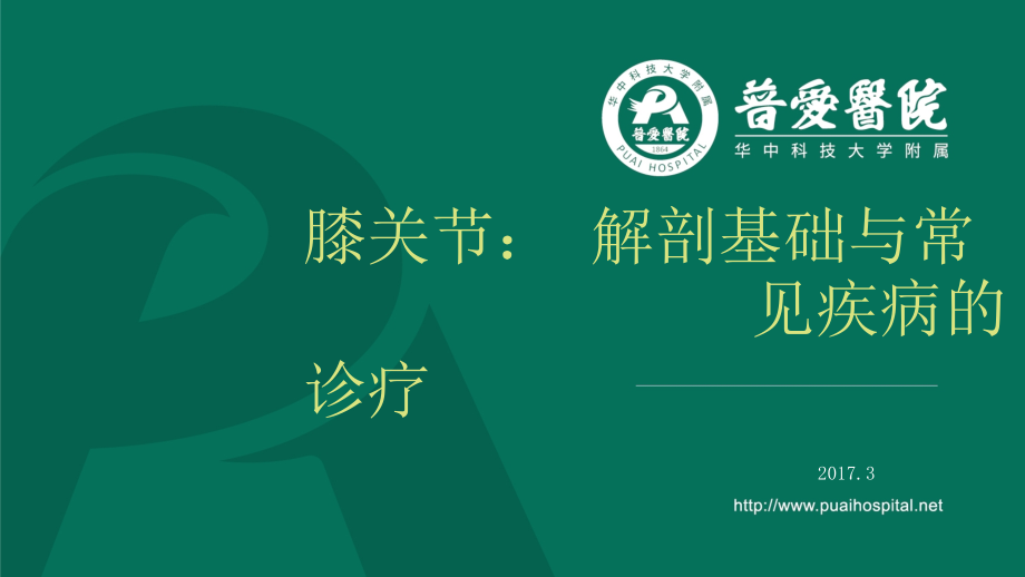 膝关节解剖基础与常见疾病诊疗.ppt_第1页