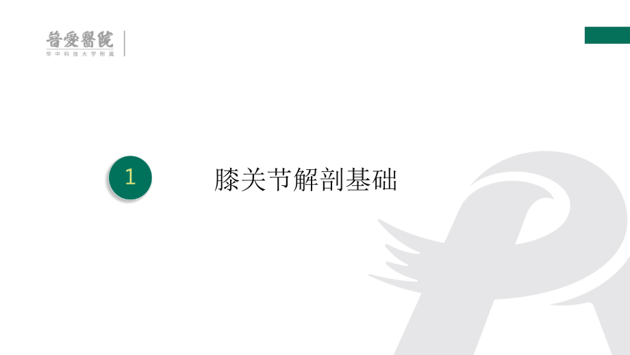 膝关节解剖基础与常见疾病诊疗.ppt_第2页