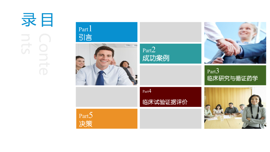 临床药物研究与循证治疗.pptx_第2页