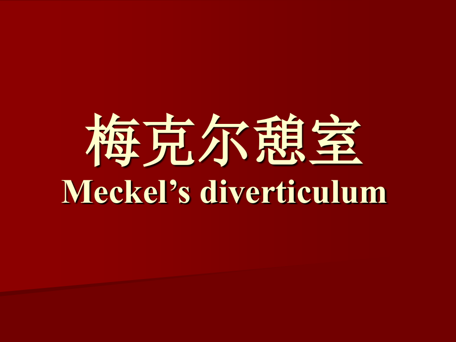 梅克尔憩室.ppt_第1页