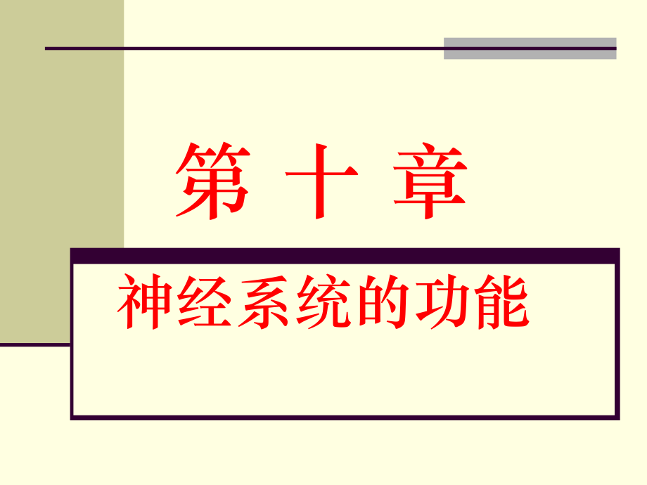 神经系统总论.ppt_第1页