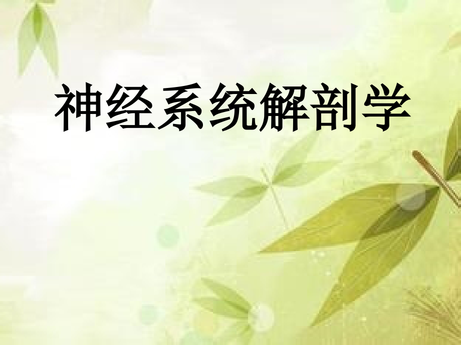 中枢神经系统解剖-端脑.ppt_第1页