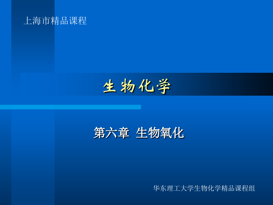 生物化学chap06.ppt_第1页