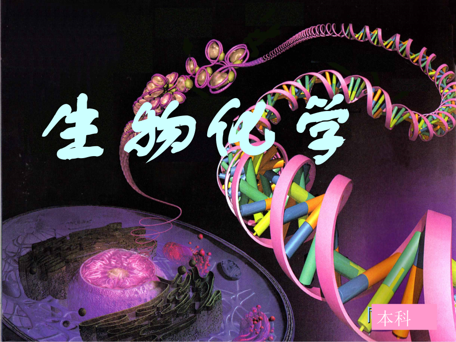 第01章蛋白质结构与功能.ppt_第1页