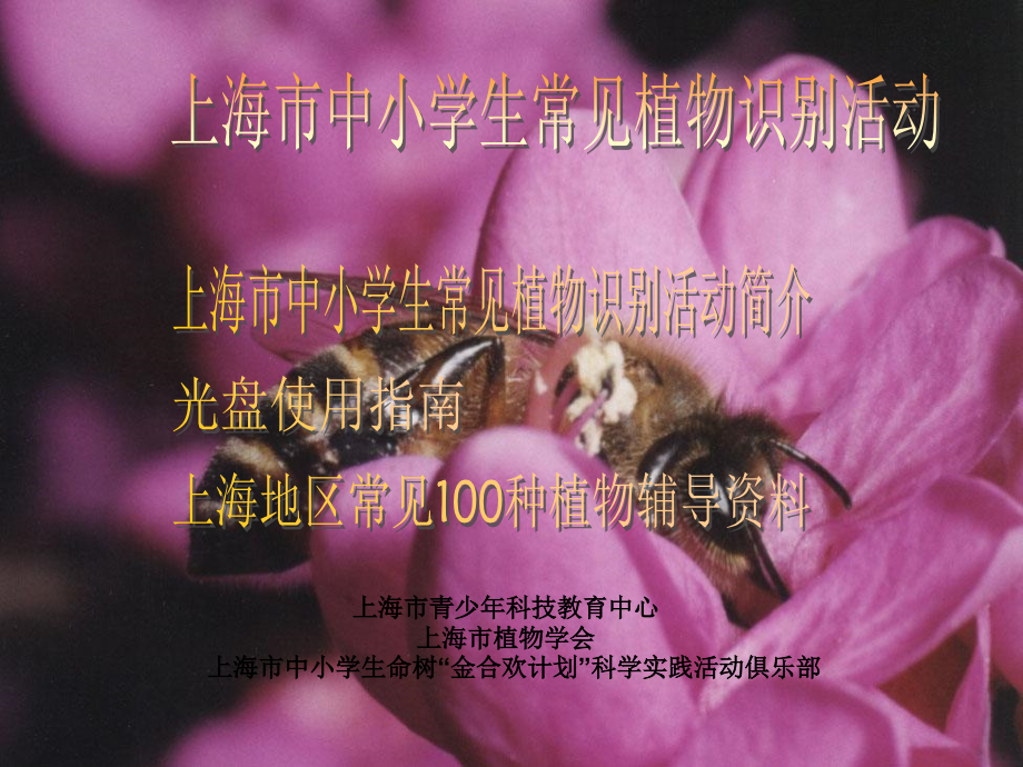 上海地区常见100种植物1.ppt_第1页