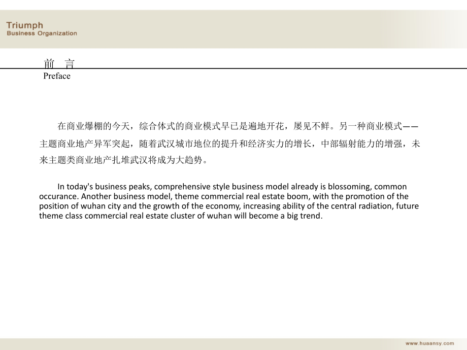 主题商业调研报告(83页).pptx_第2页
