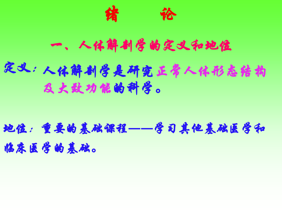 绪、骨总、躯干、颅.ppt_第2页