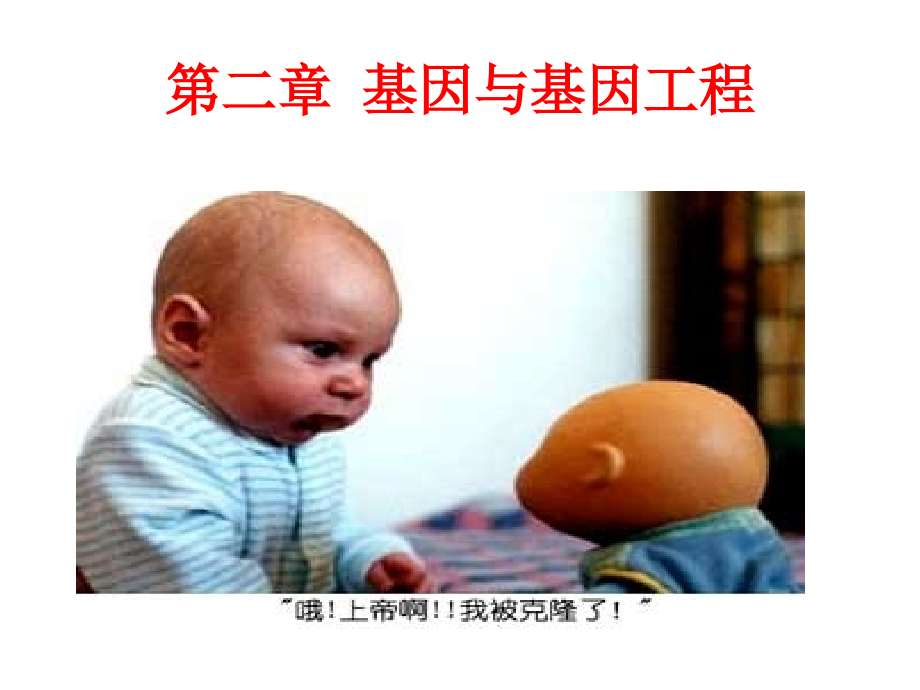第一节基因与基因工程.ppt_第1页