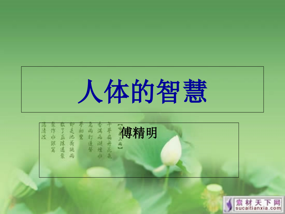 人体的智慧.ppt_第1页