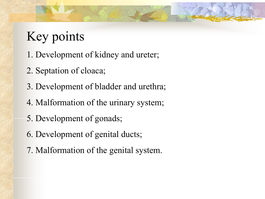泌尿生殖发生-2010.ppt_第2页