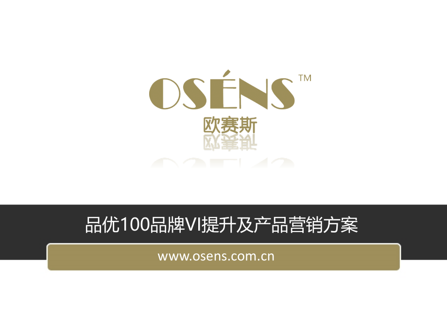 欧赛斯品优100VI提升及产品营销提案.pptx_第1页