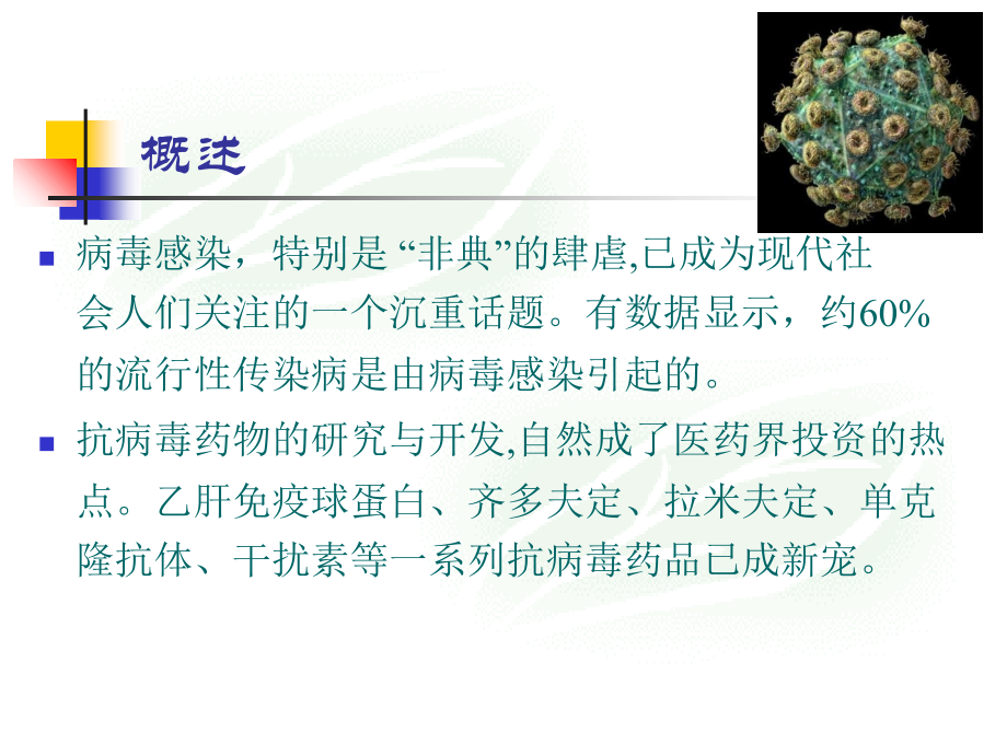 阿昔洛韦PPT课件.ppt_第2页