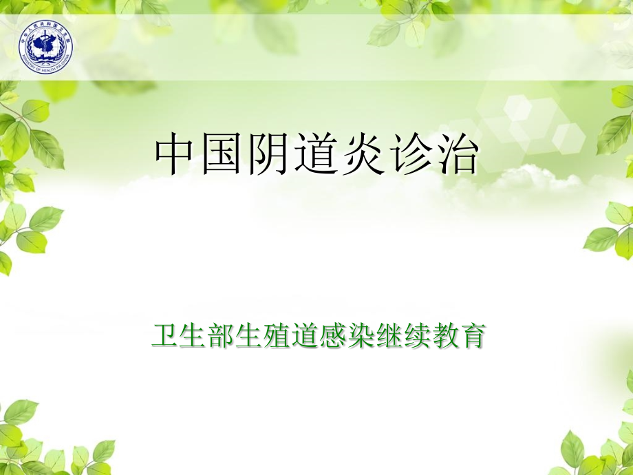 中国阴道炎诊治.ppt_第2页