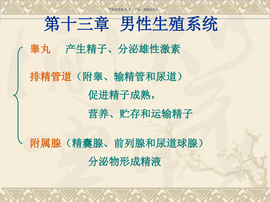 睾丸和附睾的微细结构.ppt_第1页