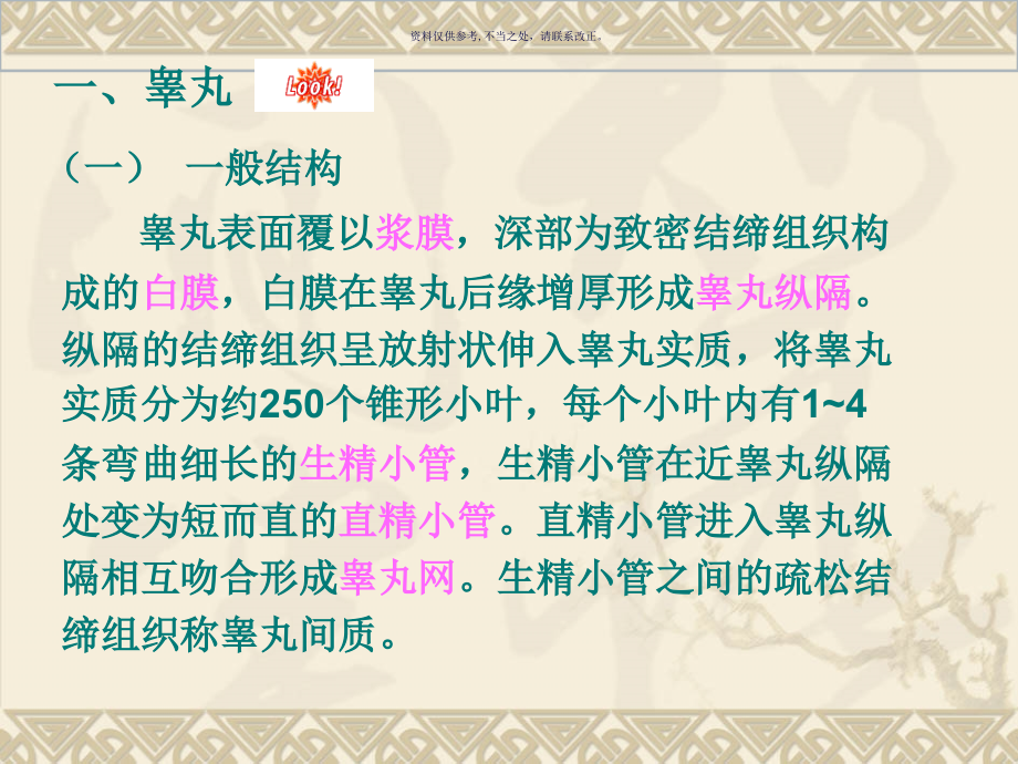 睾丸和附睾的微细结构.ppt_第2页