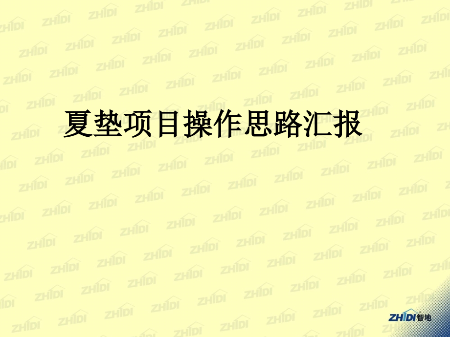 夏垫项目操作思路汇报85p.ppt_第1页