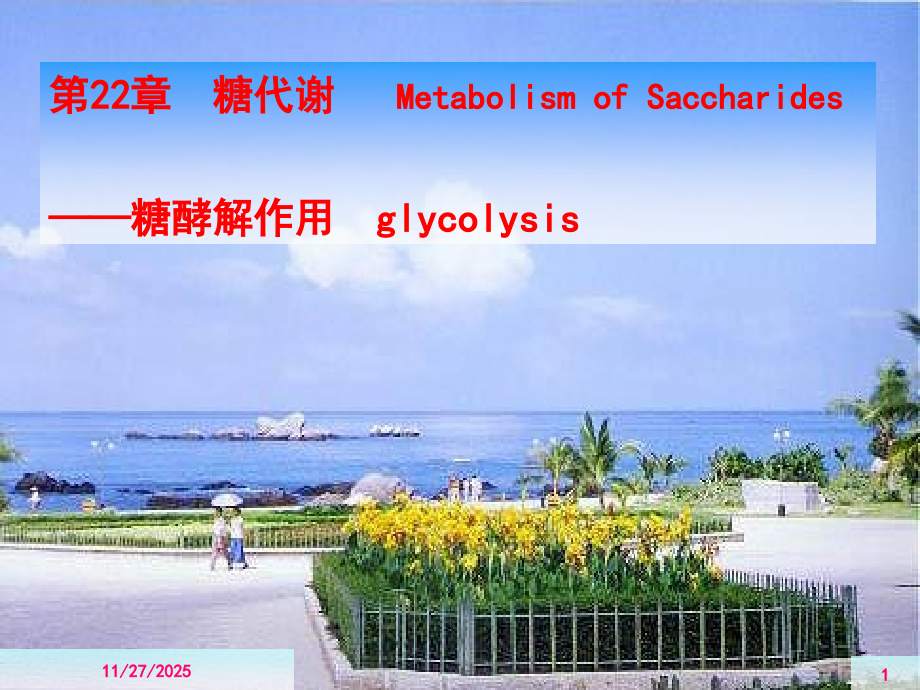 烟大生化22.ppt_第1页