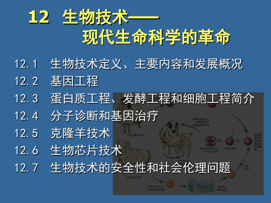 生命科学12.ppt_第1页