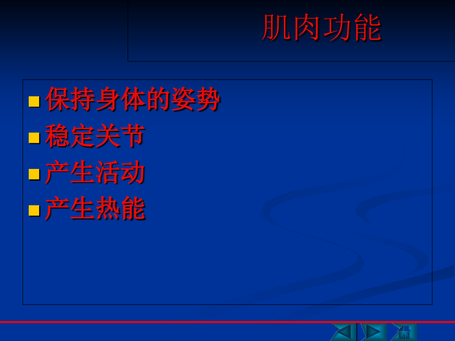 肌肉功能解剖.ppt_第2页