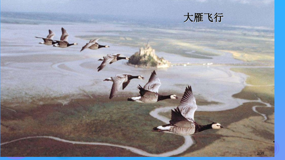 八年级生物上册16.1先天性行为和后天学习行为笔记省公开课一等奖新名师优质课获奖PPT课件.pptx_第2页