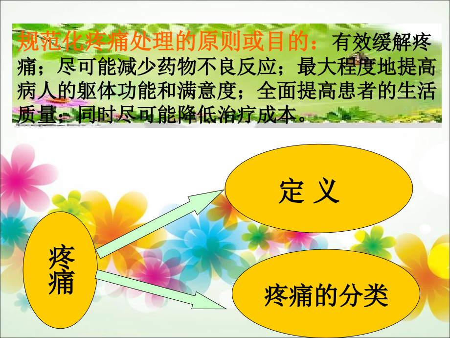 疼痛及疼痛处理流程.ppt_第2页