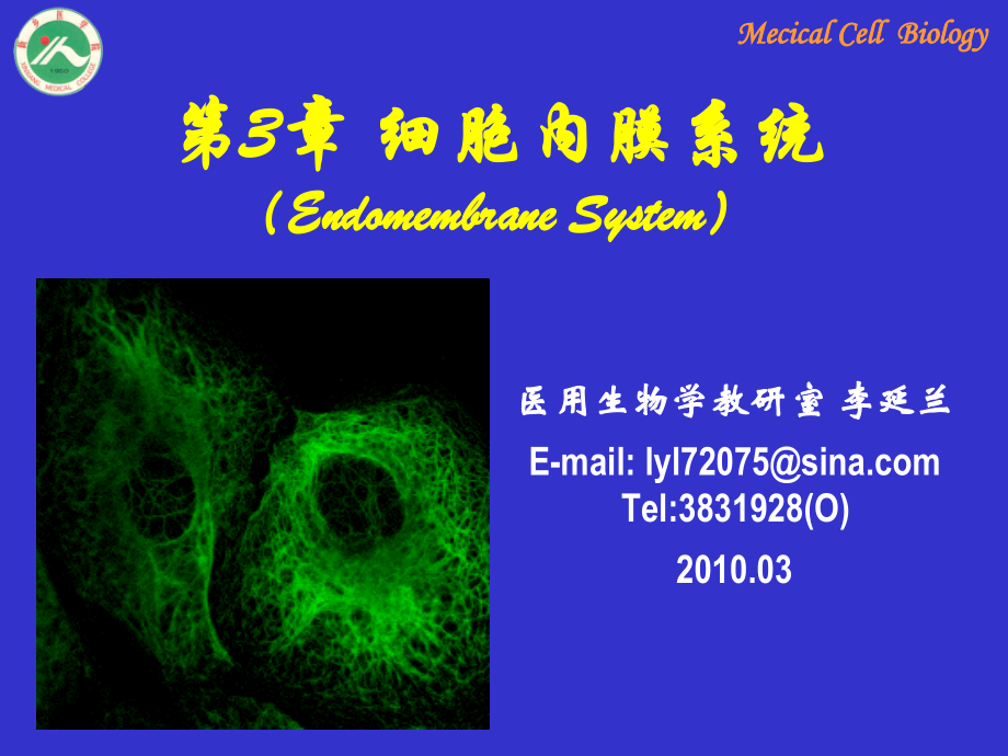 细胞的内膜系统.ppt_第1页