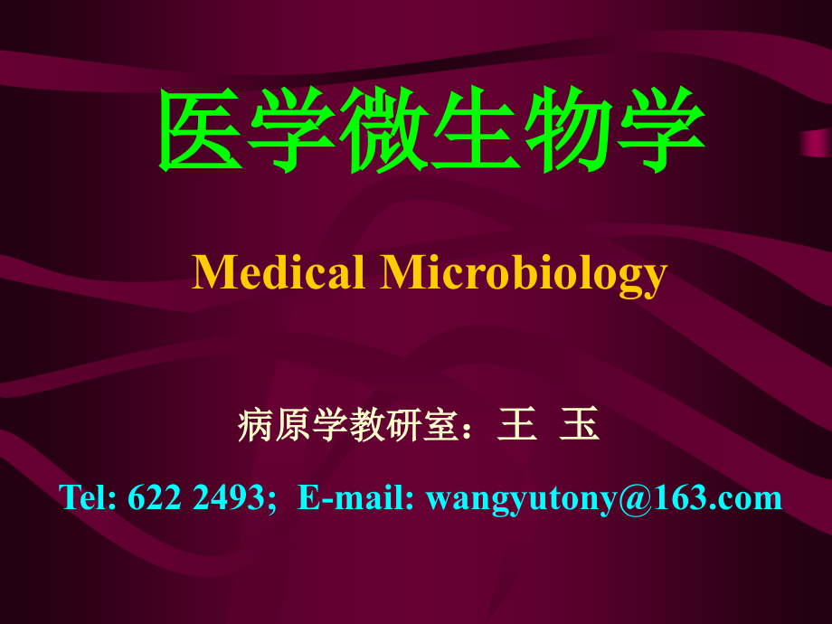 病毒总论.ppt_第1页