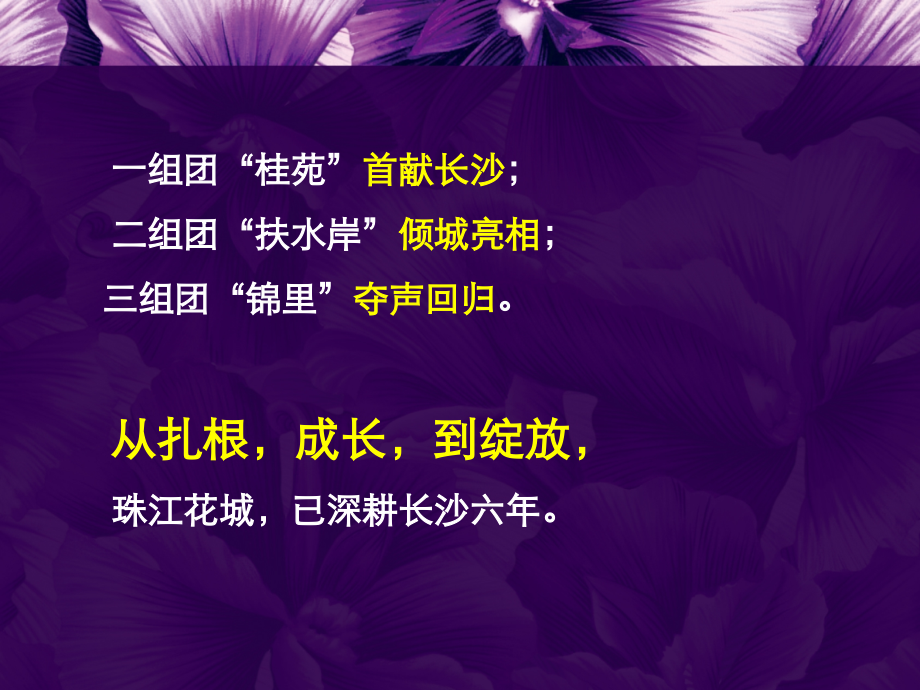 珠江花城四组团案释义及视觉演绎报告(47页).ppt_第2页