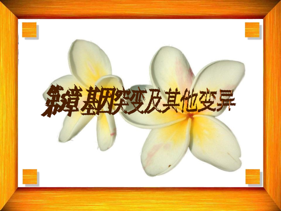 生物变异的类型与来源.ppt_第2页