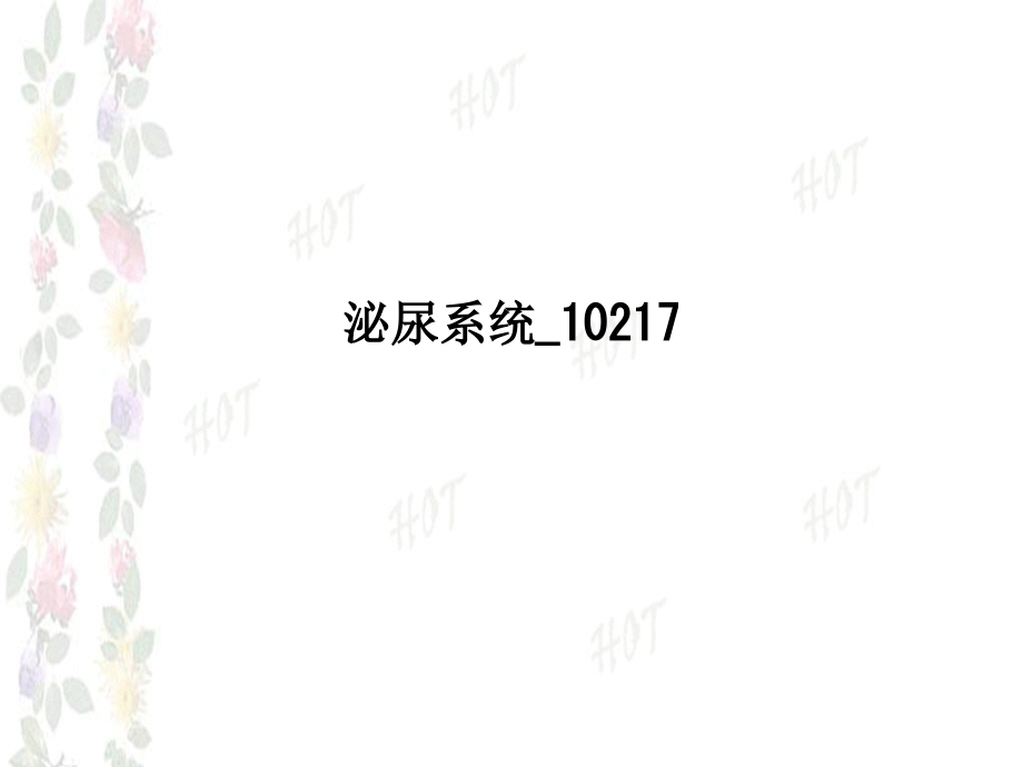 泌尿系统10217.ppt_第1页
