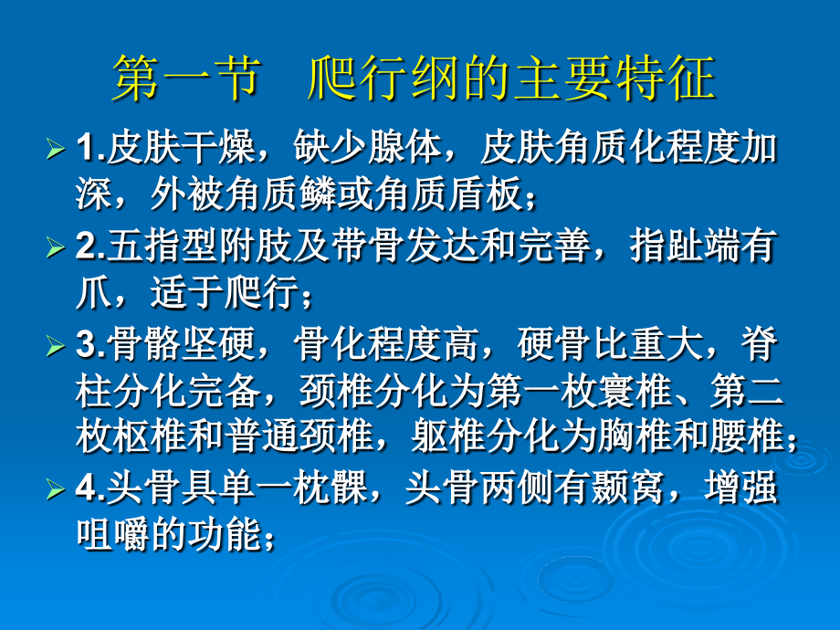爬行纲概述.ppt_第2页