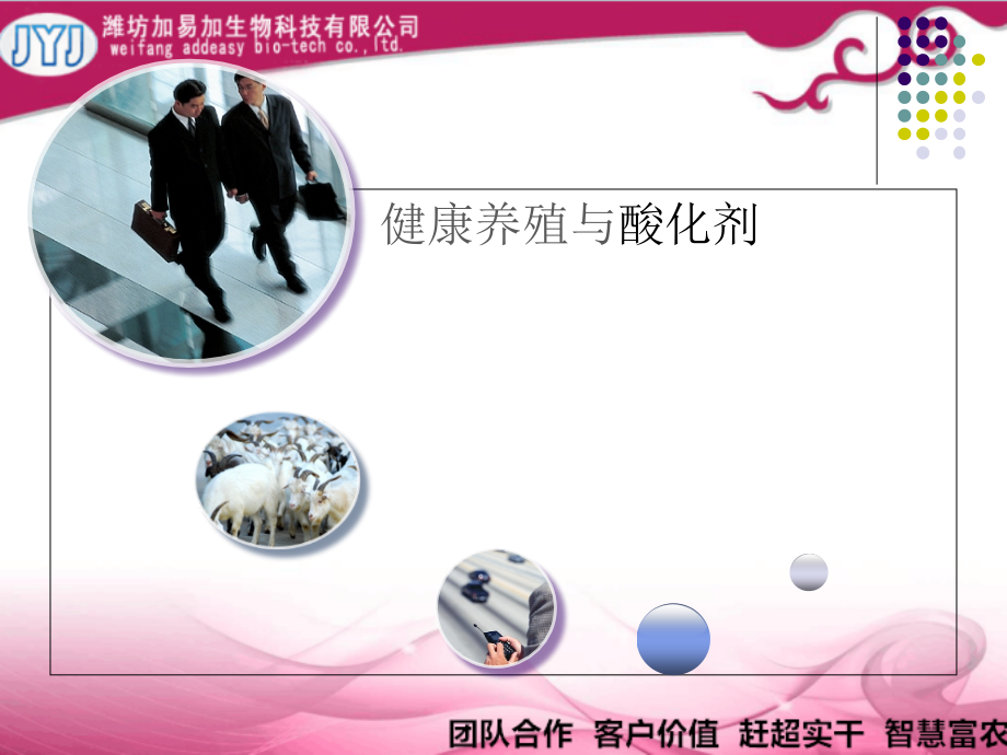 健康养殖与酸化剂.ppt_第1页