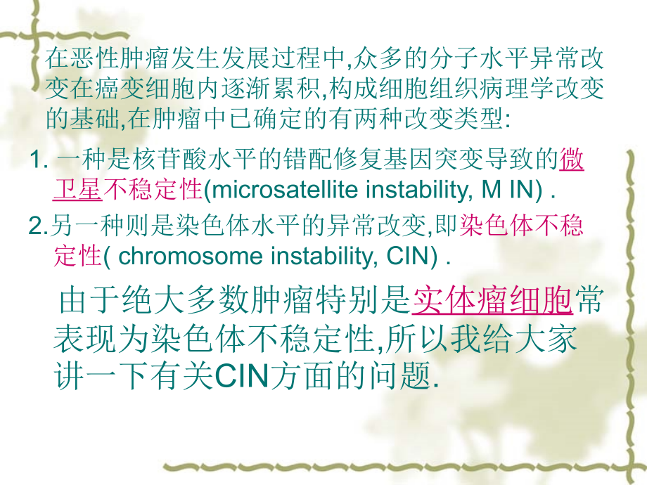 染色体不稳定性与肺癌.ppt_第2页