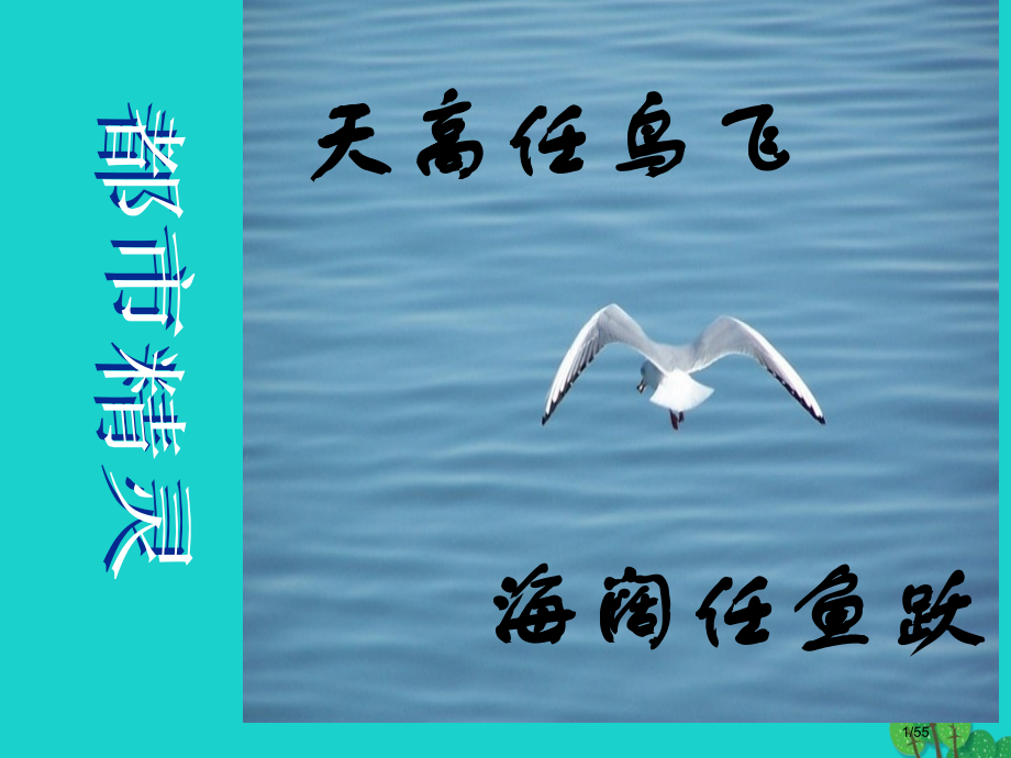 八年级语文上册第五单元第21课都市精灵教学省公开课一等奖新名师优质课获奖PPT课件.pptx_第1页