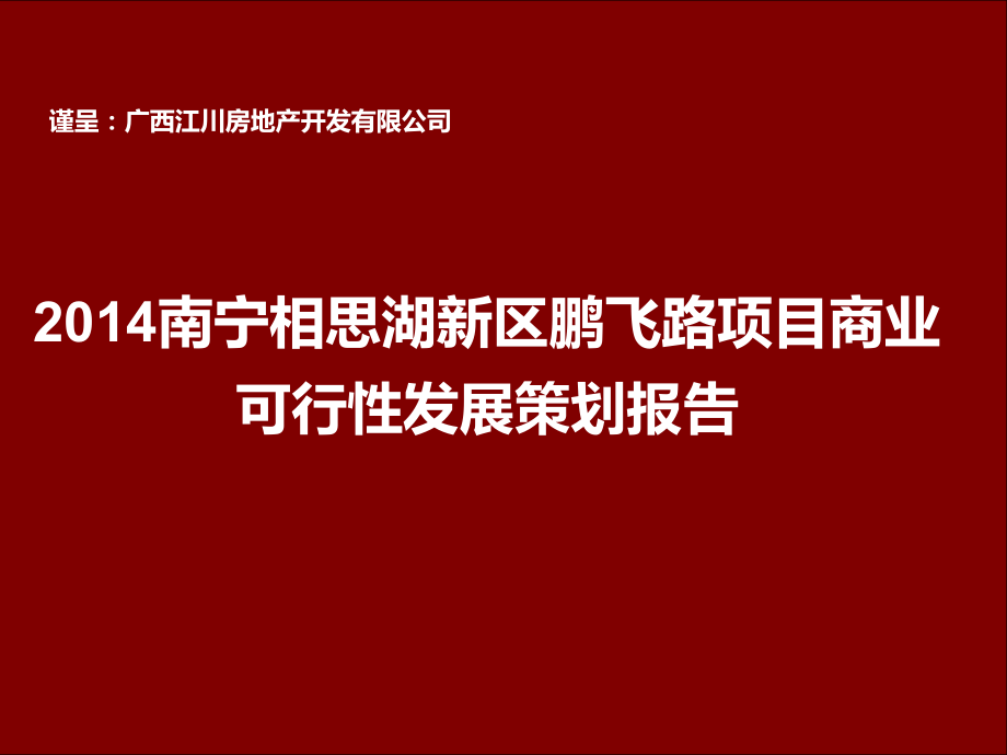 南宁相思湖新区鹏飞路项目商业可行性发展策划报告(102页).ppt_第1页