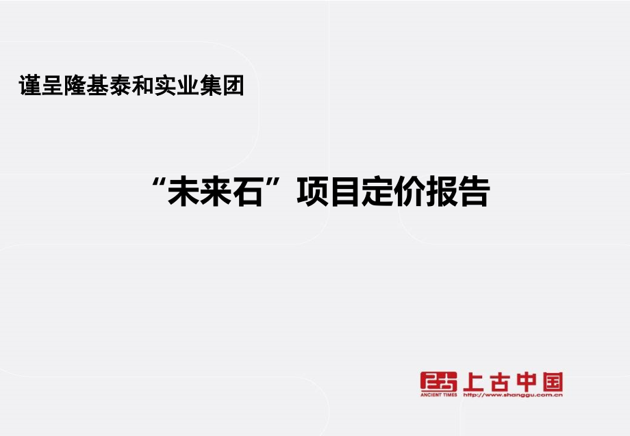 保定市“未来石”项目定价报告30PPPT课件.ppt_第2页