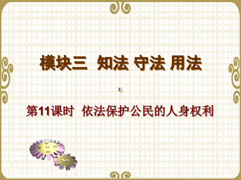 第11课时依法保护公民的人身权利.ppt_第2页