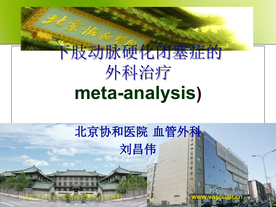 下肢动脉硬化闭塞症的外科治疗.ppt_第1页