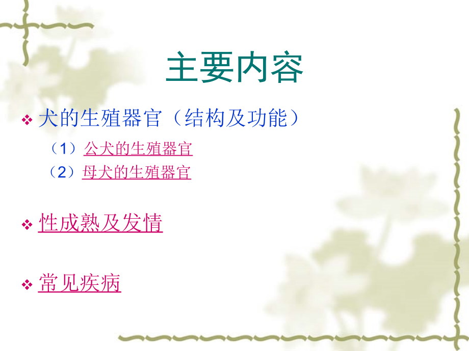 犬的生殖系统.ppt_第2页