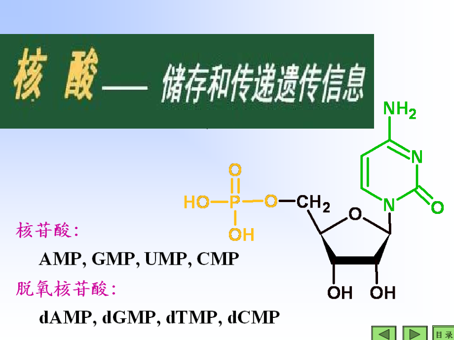 基因工程生物化学.ppt_第1页