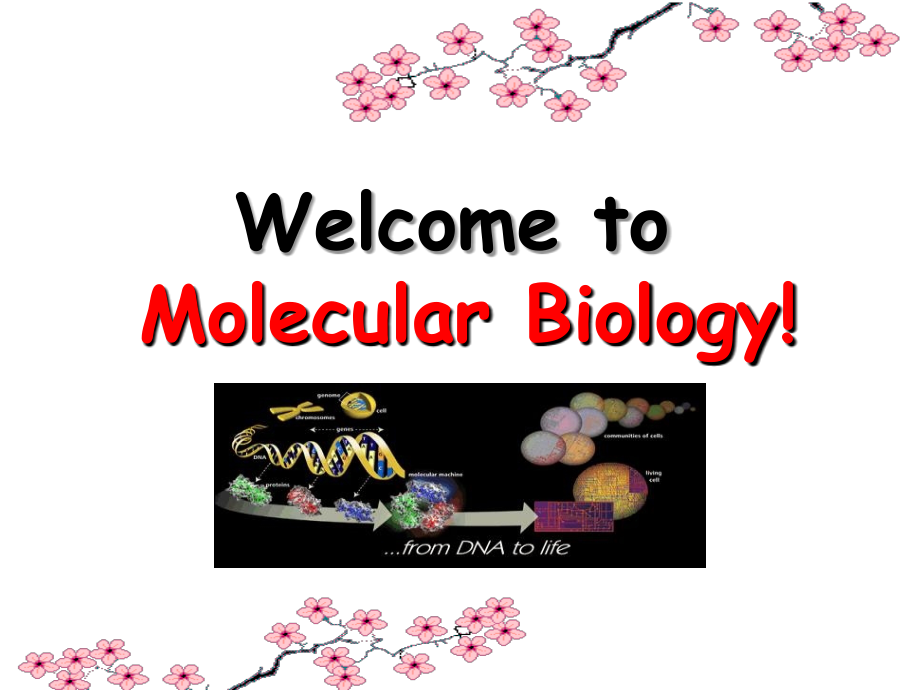 分子生物学绪论-研究生.ppt_第1页