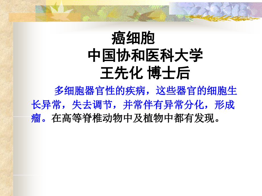 分子生物学-王先化中国协和博士后.ppt_第1页