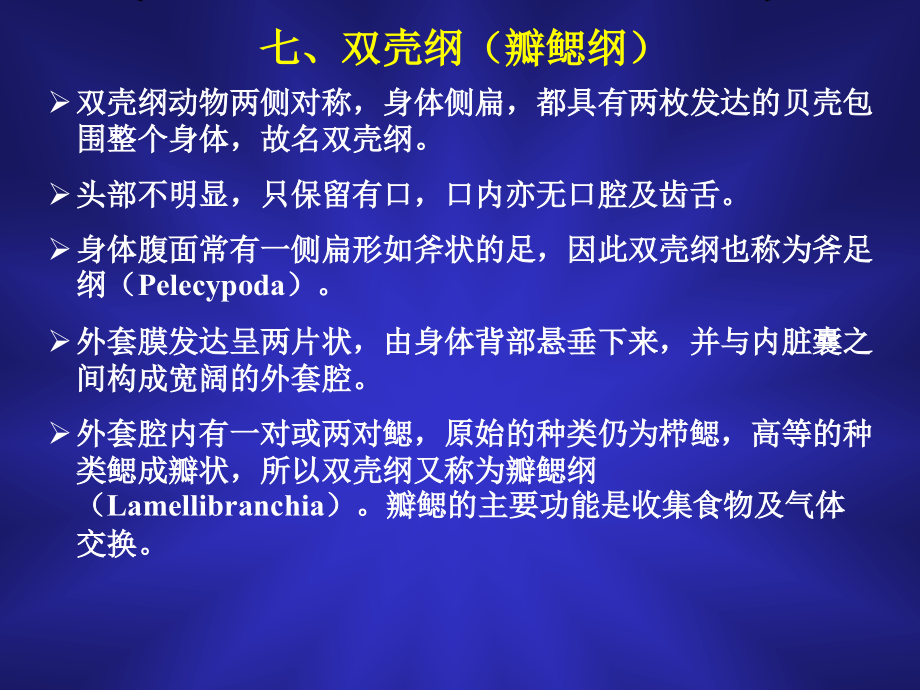 第五章软体动物门2.ppt_第1页